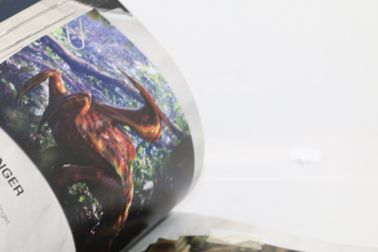 james cameron Avatar le livre officiel Écrit en Français Illustré rare 2009