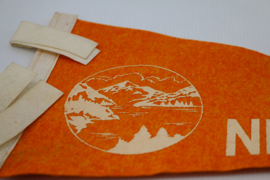 Vintage Souvenir Felt Pennant New Hampshire Groveton NH Orange 16''