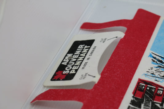 Vintage pennant felt columbia icefields jasper national park Souvenir Felt