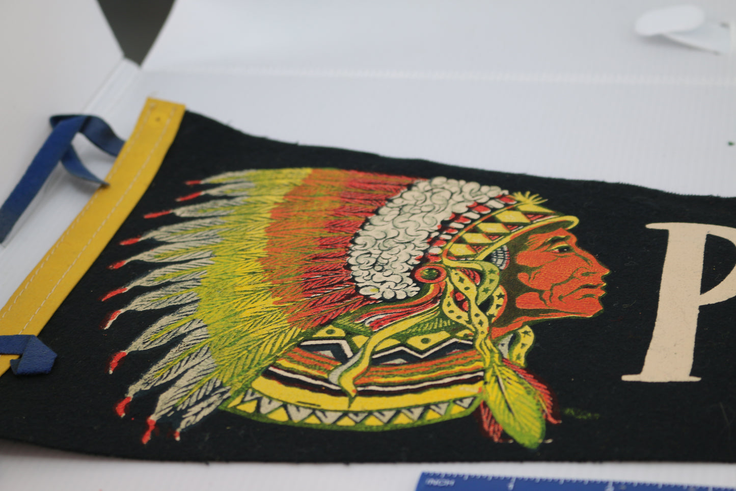 Vintage pennant felt Canada Souvenir Plattsburgh. N.Y. Indian logo chief