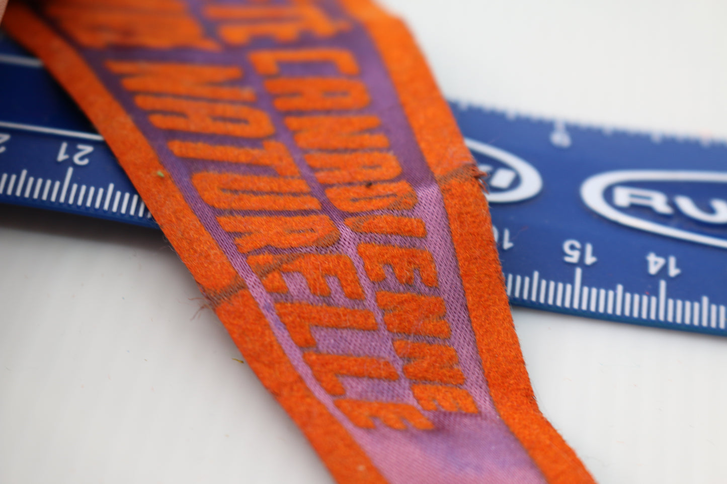 Vintage pennant felt Souvenir Société Canadienne histoire Naturelle