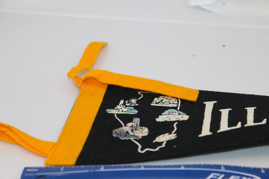 Vintage pennant felt Souvenir Illinois USA