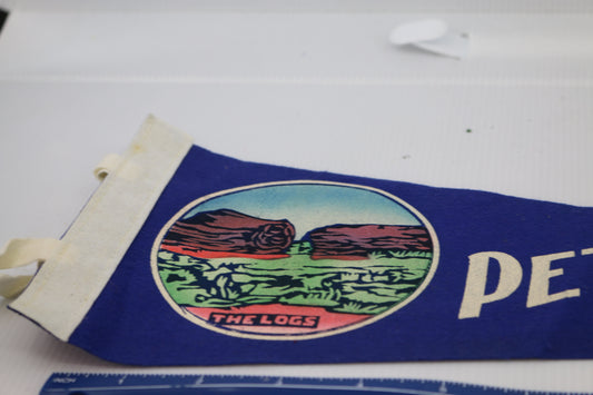 Vintage pennant felt Souvenir USA Petrified forest Arizona the logs