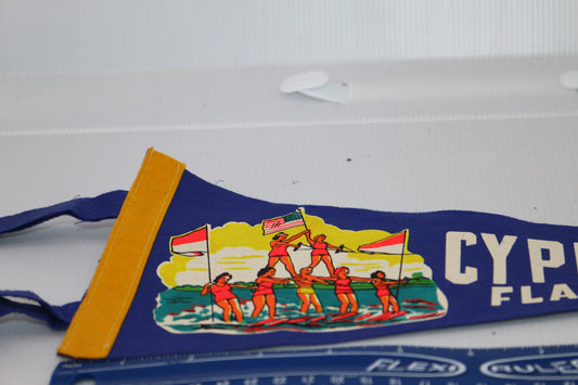 Vintage pennant felt Souvenir USA Cypress Gardens florida