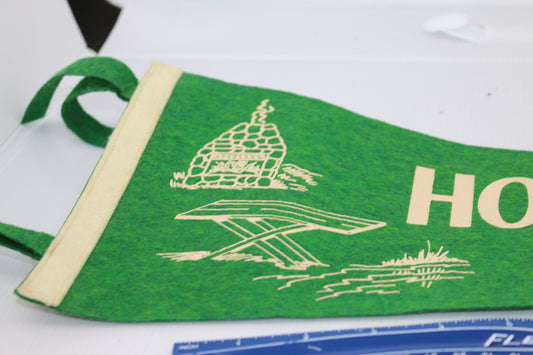 Vintage pennant felt Souvenir USA Hopeville Pond state park