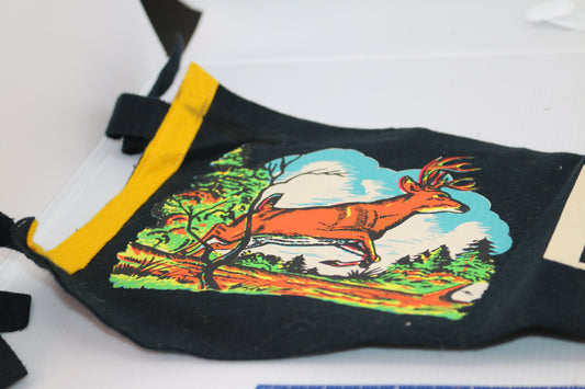 Vintage pennant felt Souvenir USA Lake George.N.Y. BLack color