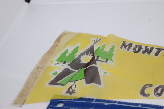 Vintage pennant felt Souvenir Mont Villeneuve Colgnie