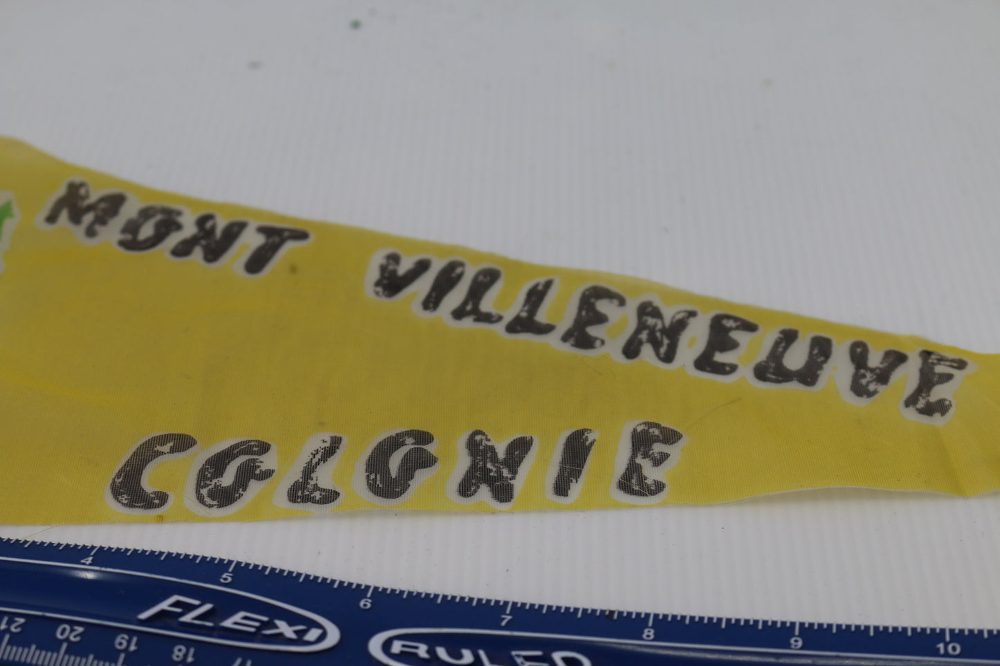 Vintage pennant felt Souvenir Mont Villeneuve Colgnie