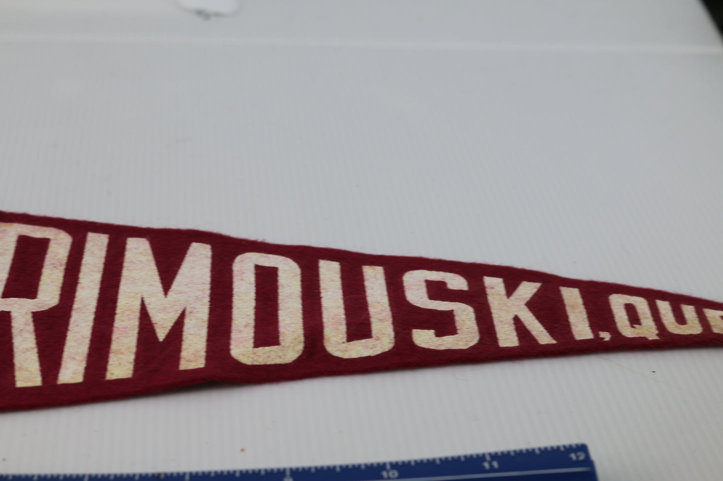 Vintage Souvenir Felt Pennant Canada Québec Rimouskie Oiseau