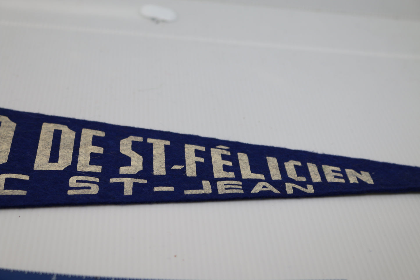 Vintage Souvenir Felt Pennant Canada Zoo de St-Félicien Lac St-Jean Québec