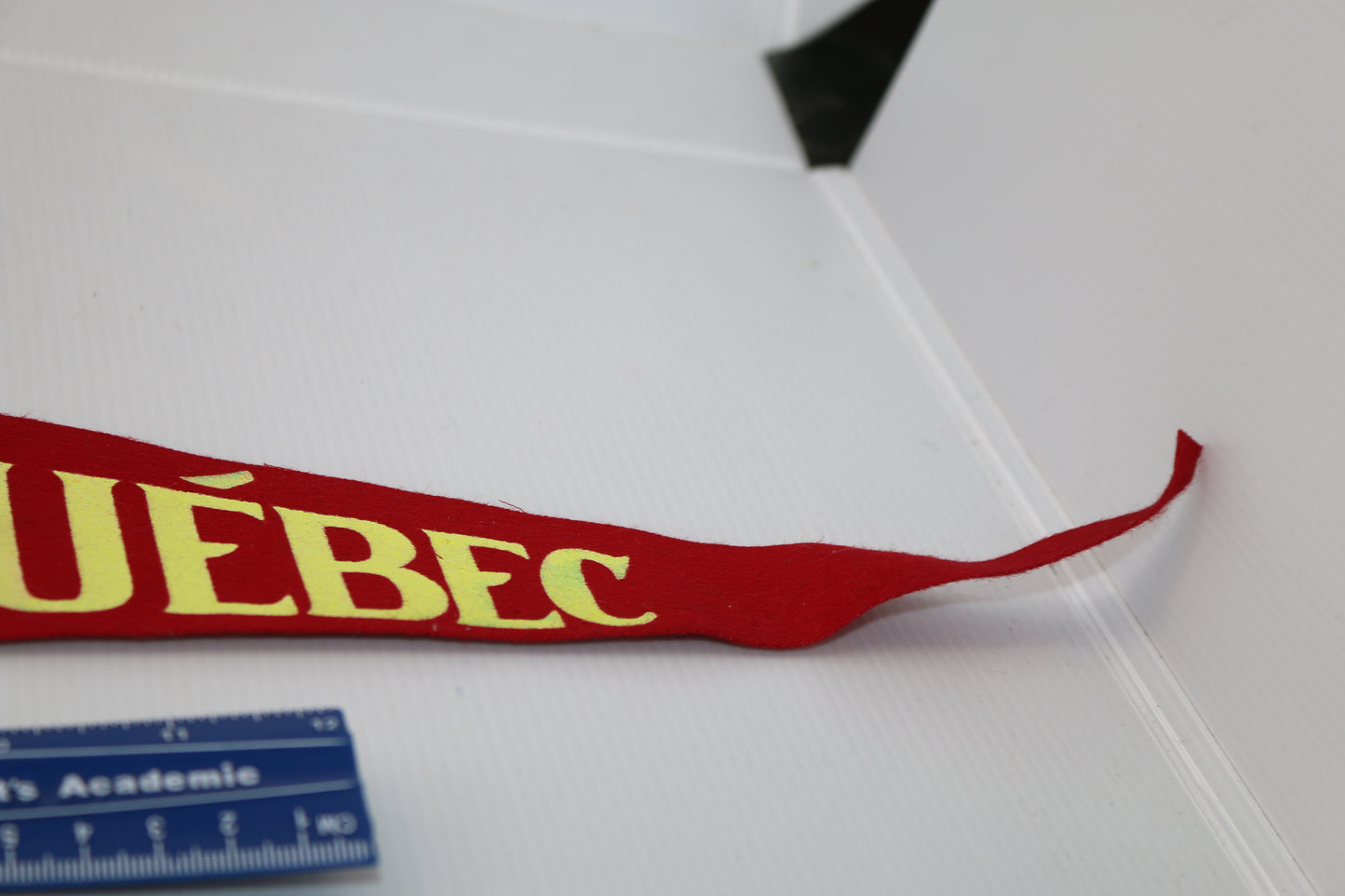 Vintage Souvenir Felt Pennant Canada Parc Safari Africain Québec Lion Zebra