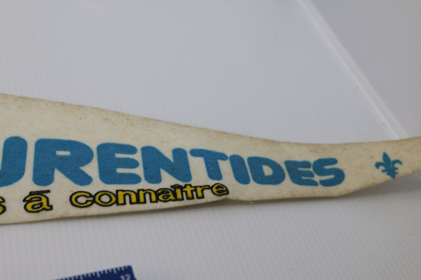 Vintage Souvenir Felt Pennant Les laurentides un pays à connaître