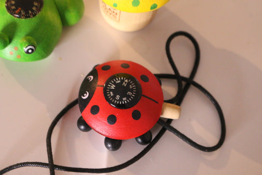 Latest Educational Toys Wooden Ladybug, frog mushroom Compass