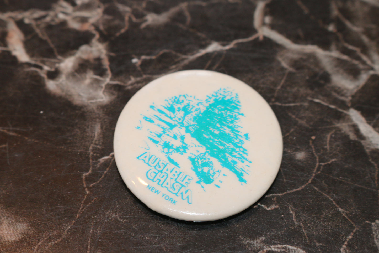 Vtg button pinback Macaron Souvenir Ausable chasm NEW YORK