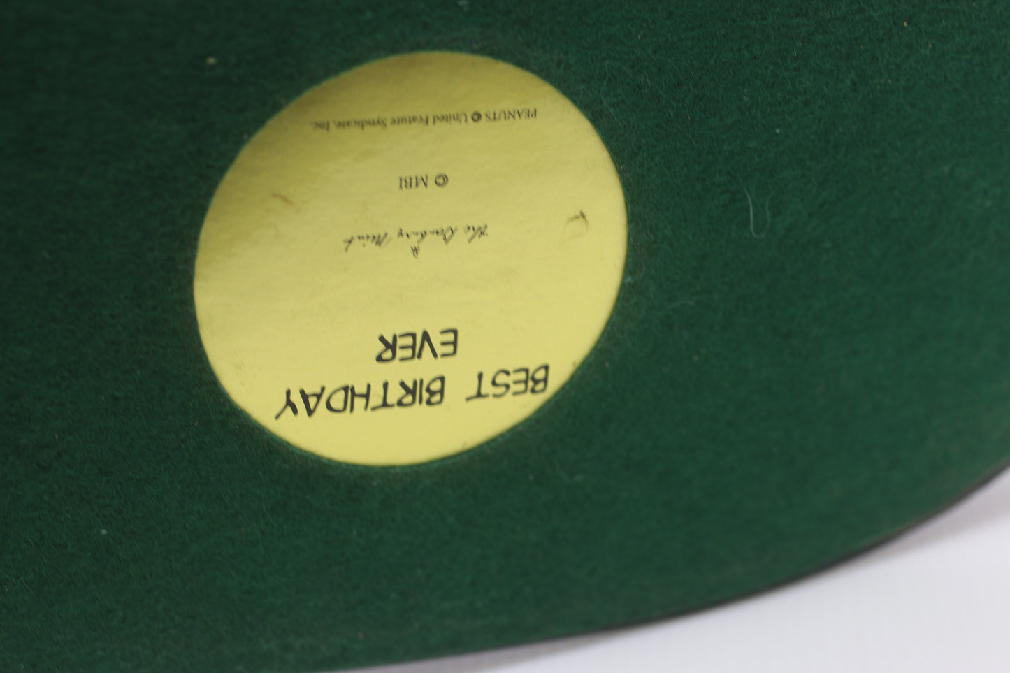 Danbury Mint Peanuts Light Up Best Birthday Ever With Power Cord