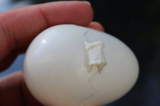 1987 Vintage Fisher Price - Grade A Eggs Empty remplacement eggshell