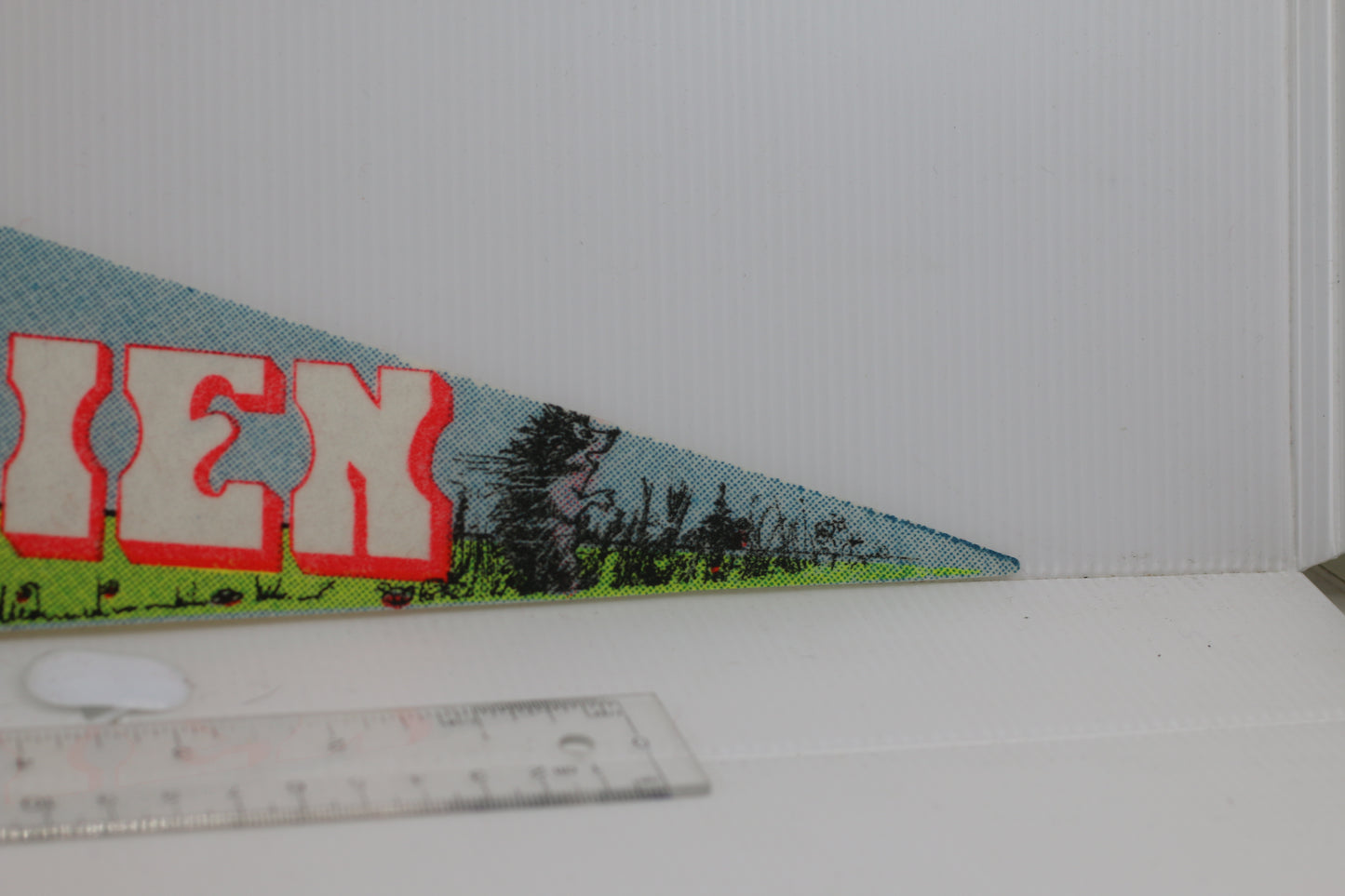 VINTAGE Gros Boul ZOO ST-Félicien SOUVENIR FELT PENNANT FLAG #2