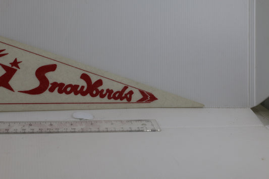 VINTAGE Snowbirds SOUVENIR FELT PENNANT FLAG plane