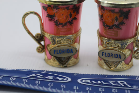 Vintage Souvenir Florida Plastic Salt and Pepper Pink & golden Shakers