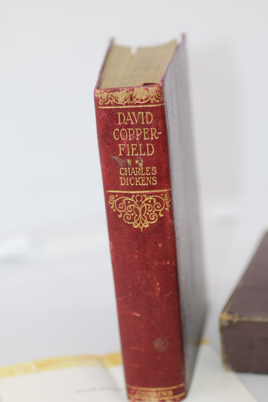 Stuart Mark Feldman “Justice” COA Pamphlets ONLY + Dickens David Copperfield Book