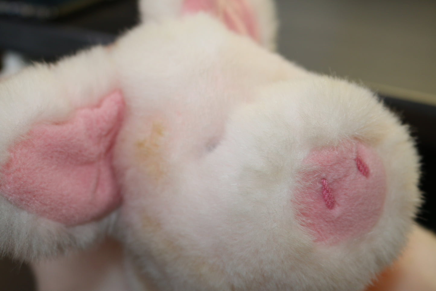 Vintage 1994 - 24K Polar Puff Portia Pig Plush 8" Soft Stuffed Animal Pink