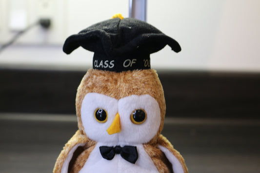 Ty Beanie Baby - Wise The 1998 Graduation Owl (7.5 Inch) Mint With All Tags 1997