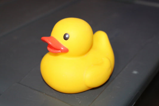 Duck, Rubber, Toy For Baby Bath