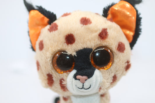 Ty Beanie Boos Buckwheat The Wild Cat Plush Stuffed Animal 8”