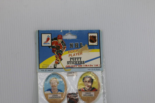 Vintage NHL Hockey Player Puffy Stickers Card 4 Funmate Series 1 Made in Japan