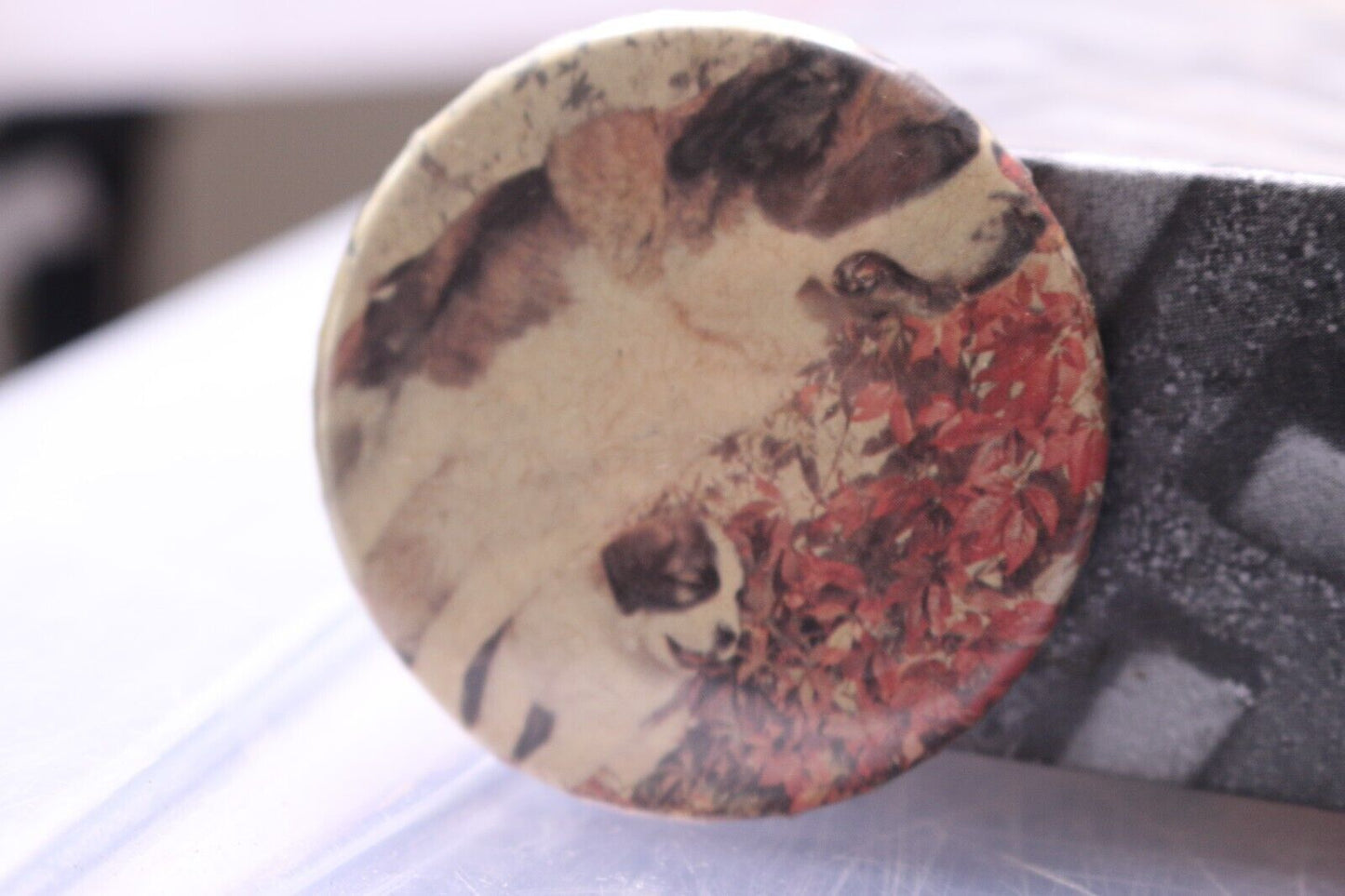 Vintage Macaron Pinback Québec Municipalité De Saint-Bernard Picture Photo Dog