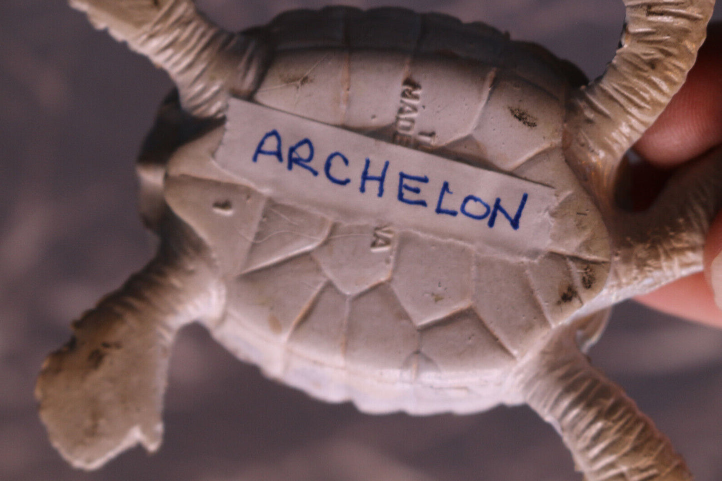 Archelon Figure Sea Creature Figure Fossil Replica Tortoise Turtle Tortue Toy