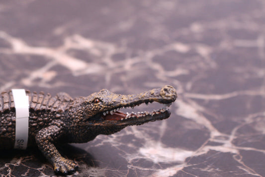 Vintage Sarcosuchus “Flesh Crocodile“ Alligator Crocodile Figure 10” Crocodylia