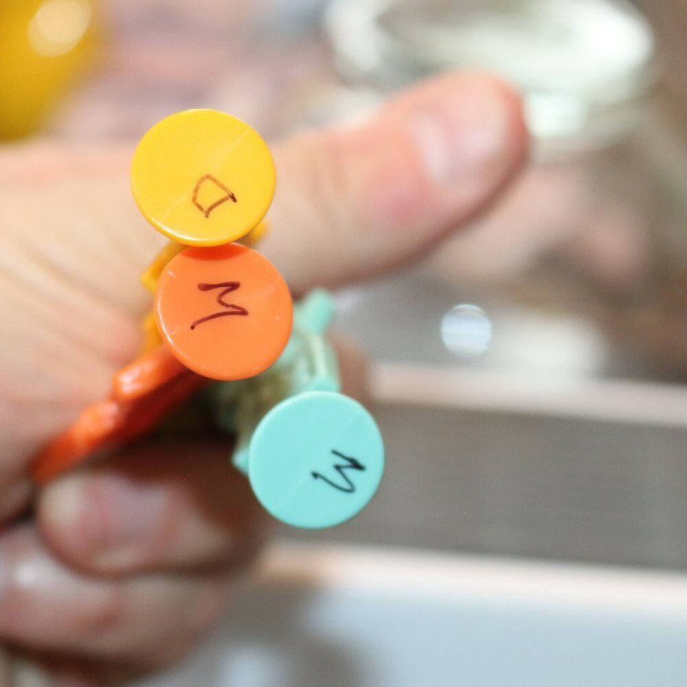 Vintage 1999 Pokemon 3 Popzoids Stick Only, Candy Used Lollipop Nintendo Topps