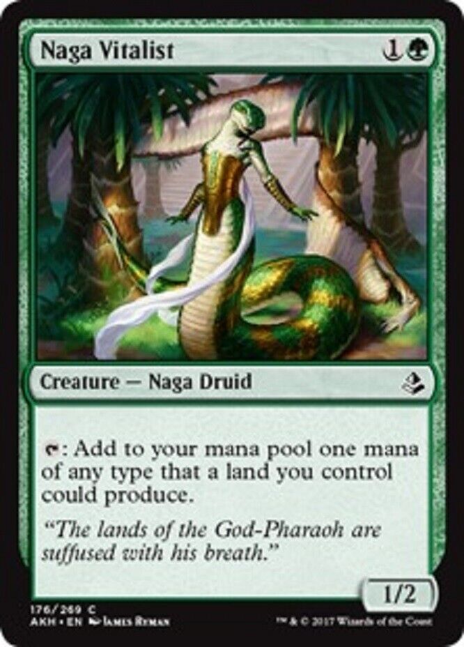 MTG MTG 4x Naga Vitalist Amonkhet cards Magic The Gathering – Omniphustoys