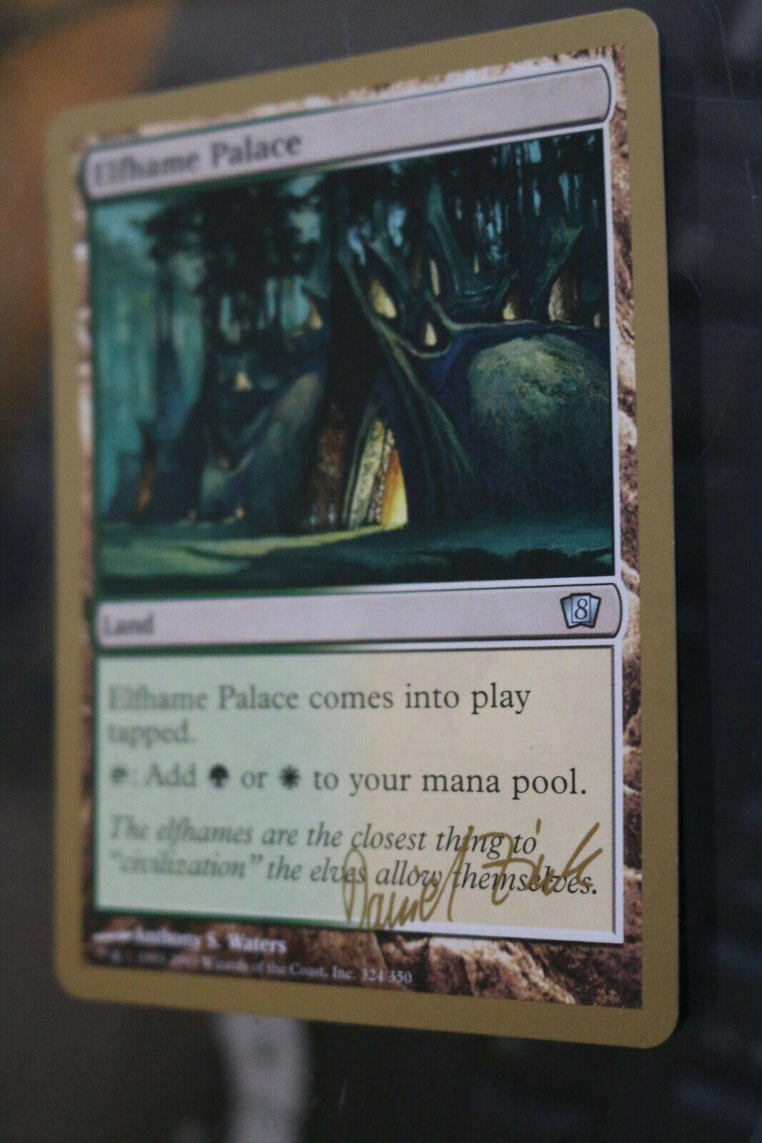 MTG Elfhame Palace Daniel Zink SB World Championship Decks 2003 card M –  Omniphustoys