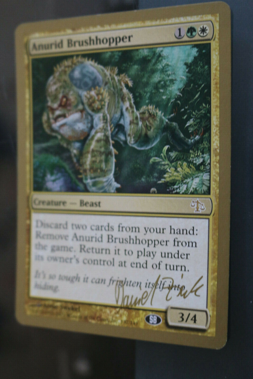 MTG Anurid Brushhopper Daniel Zink SB World Championship Decks 2003 ca Omniphustoys MTG Anurid Brushhopper Daniel Zink SB World Championship Decks 2003 ca Omniphustoys