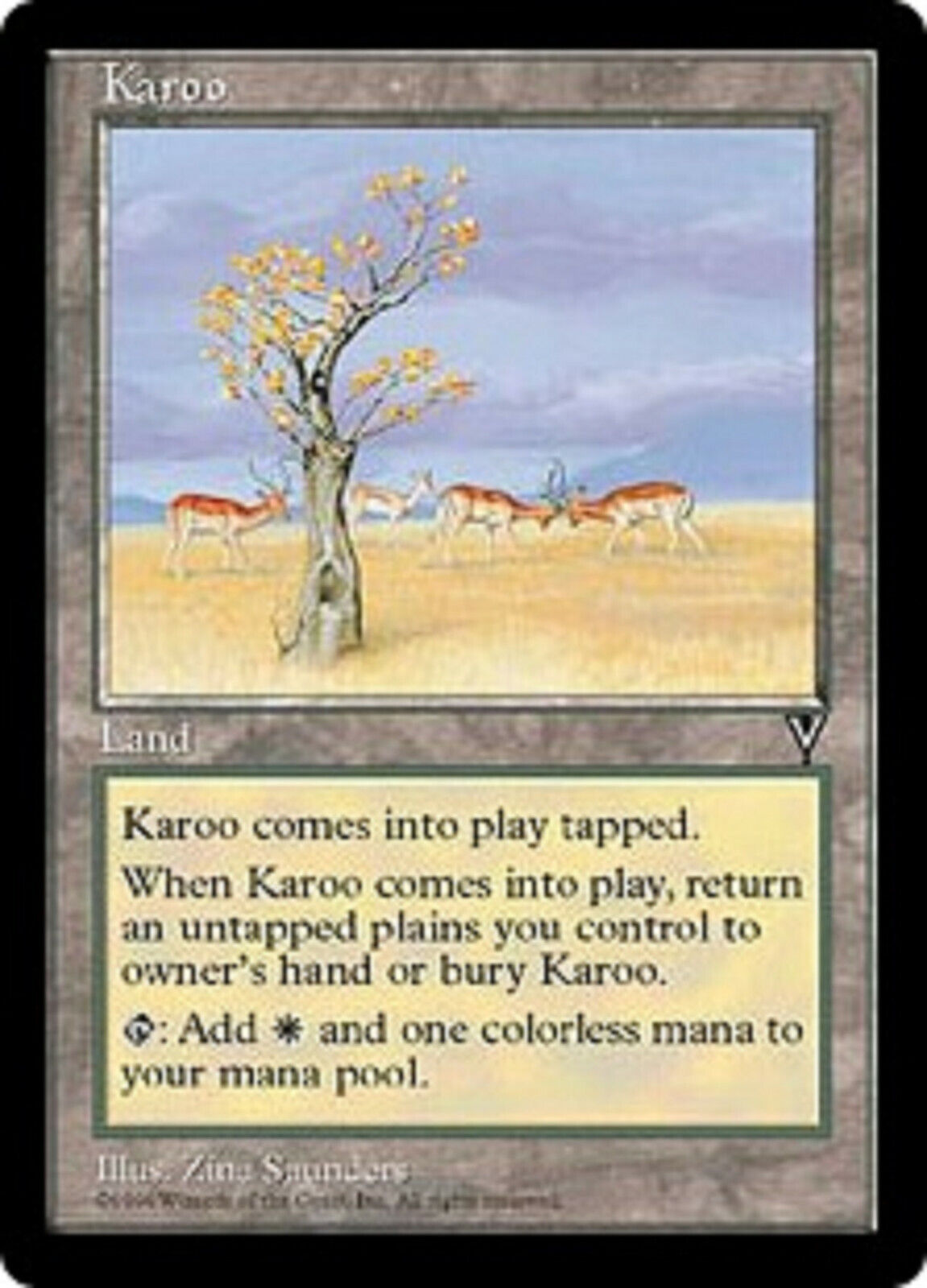 MTG MTG 1x Karoo Visions Card Magic The Gathering