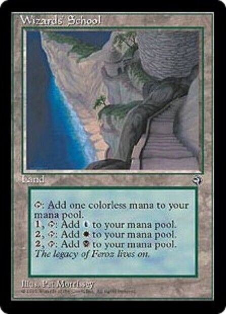 MTG 1x Wizards' School Homelands card MTG Magic the Gathering