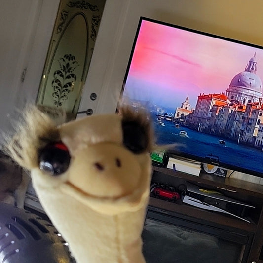 Vtg Oona Ostrich Applause Dakin Large Stuffed Plush Animal Bird Bendable Legs