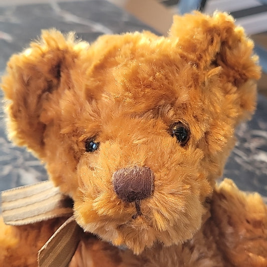 Vtg Soft Plush Brown Teddy Bear Children'S Miracle Network Td Canada Trust Retro