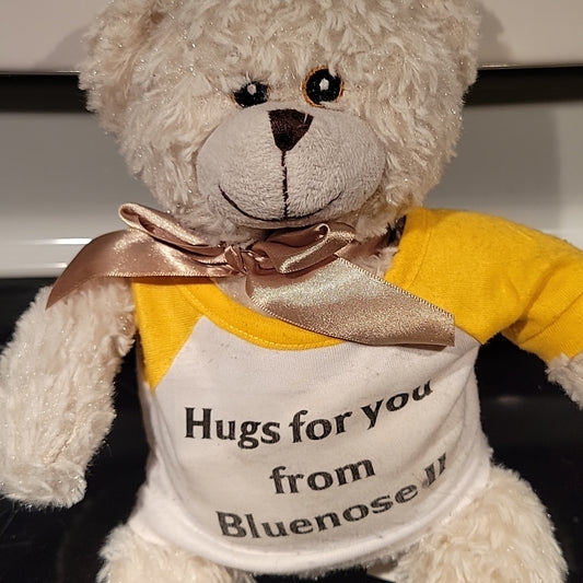 Teddy Bear Creature Comfort Plush Hugs For You From Bluenose Ii