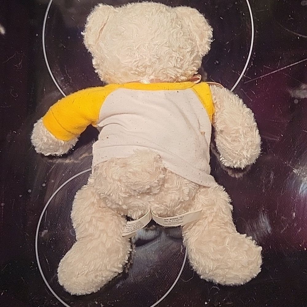 Teddy Bear Creature Comfort Plush Hugs For You From Bluenose Ii