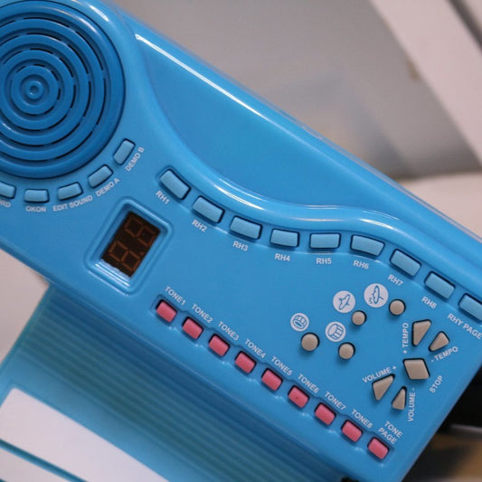 Lp3200 Silicon Flexible Roll Up Piano With Instruction For Kids