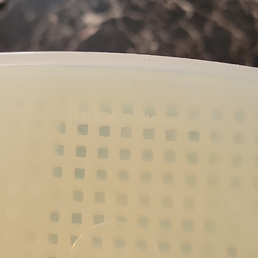 Tupperware Vintage 2 Piece Pickle Keeper Large Container 1560-1 Lid #1562-2.