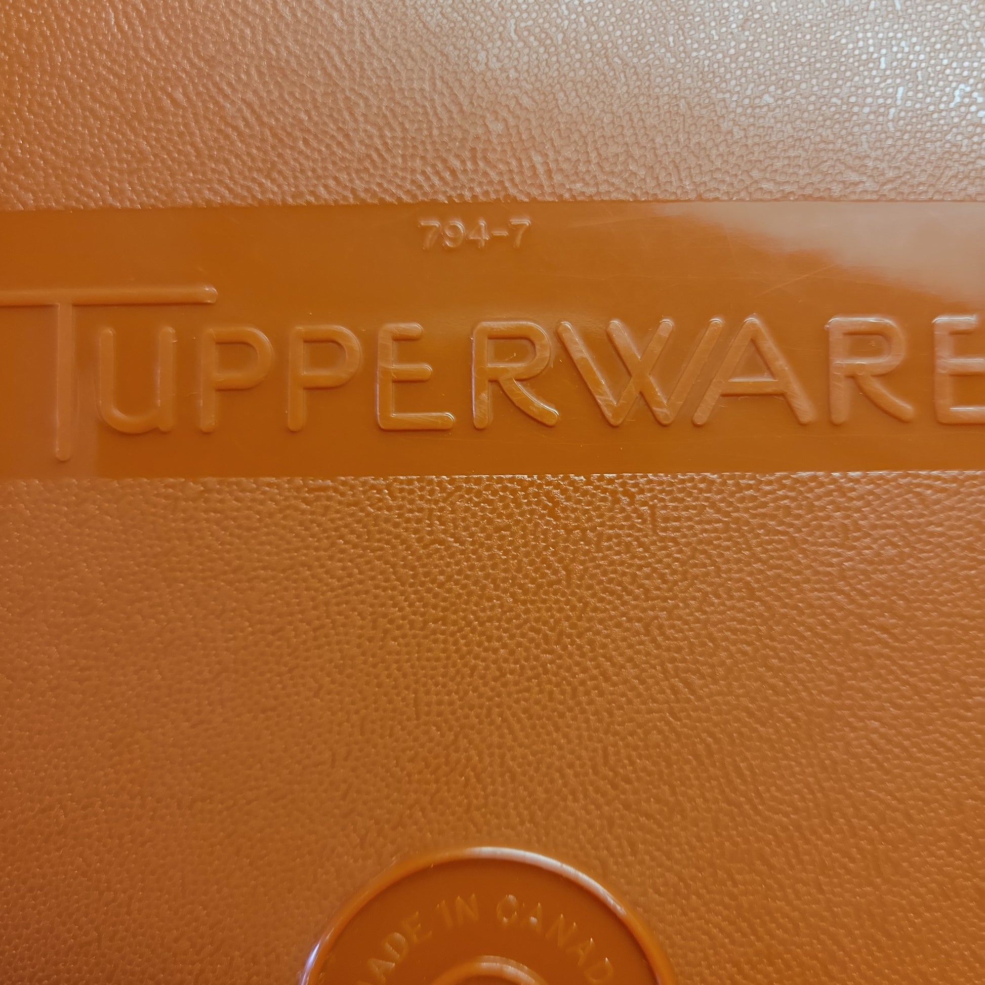 Tupperware Fridge Deli Keeper Meat-Cheese Container - Depop