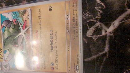 Fraxure 045/064 Japanese Pokémon Card regular