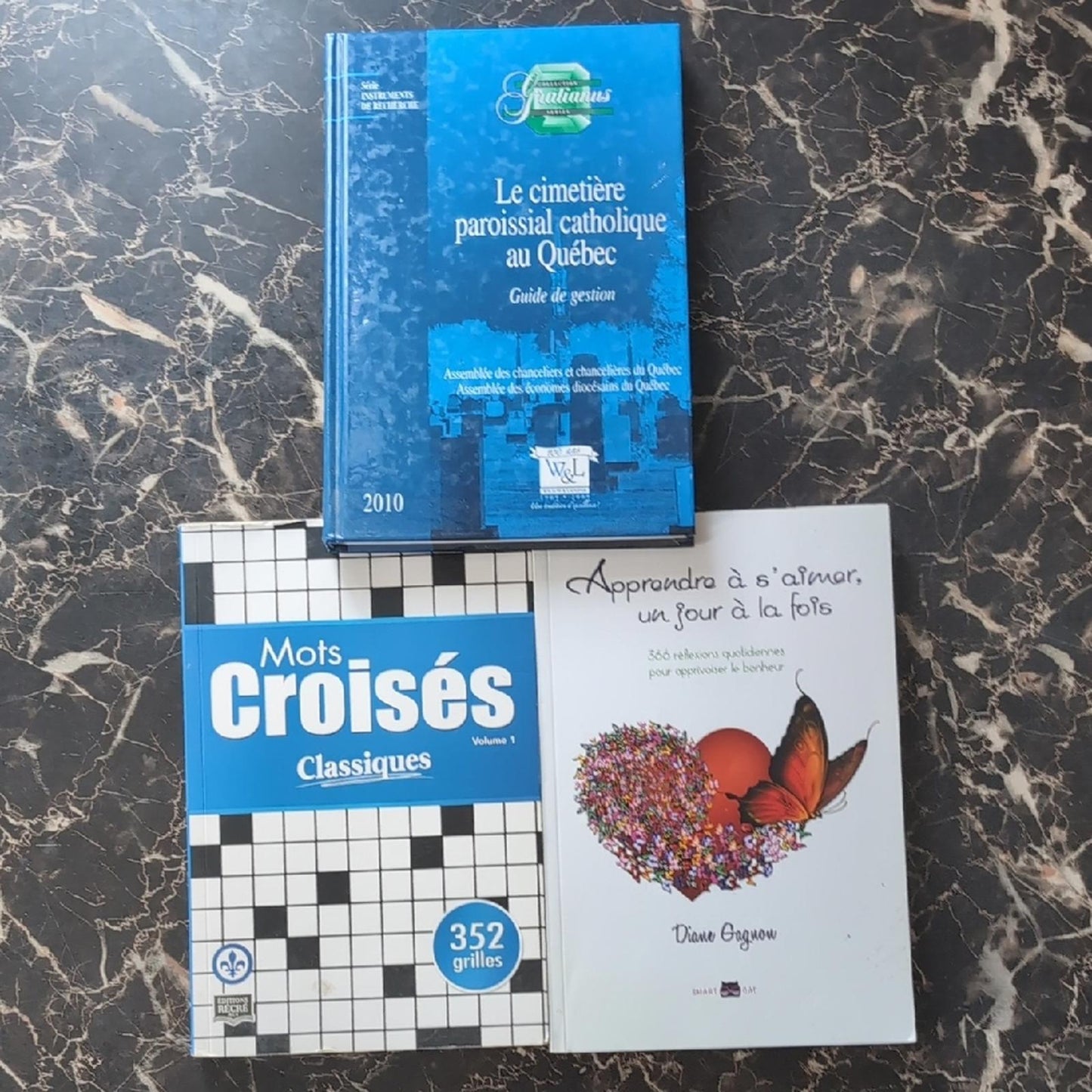 Ensemble De 3 Livres Dont Apprendre À S'aimer Un Jour À La Fois