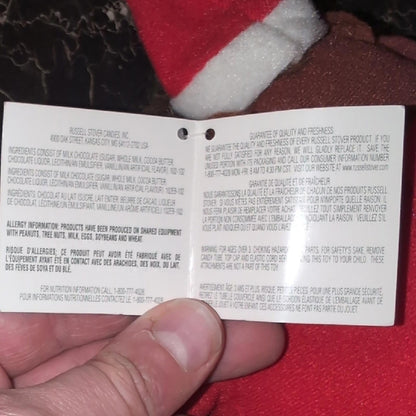 Warner Bros. Taz Plush with Red and Green Santa Hat