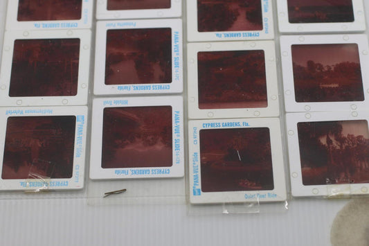 Vintage GAF Pana-Vue Travel Slides Lot Cypress Gardens Florida 35mm Color Slides