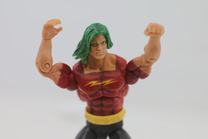 Marvel Universe Doc Samson 3.75" Action Figure Hulk Series 3 #002 Hasbro 2009